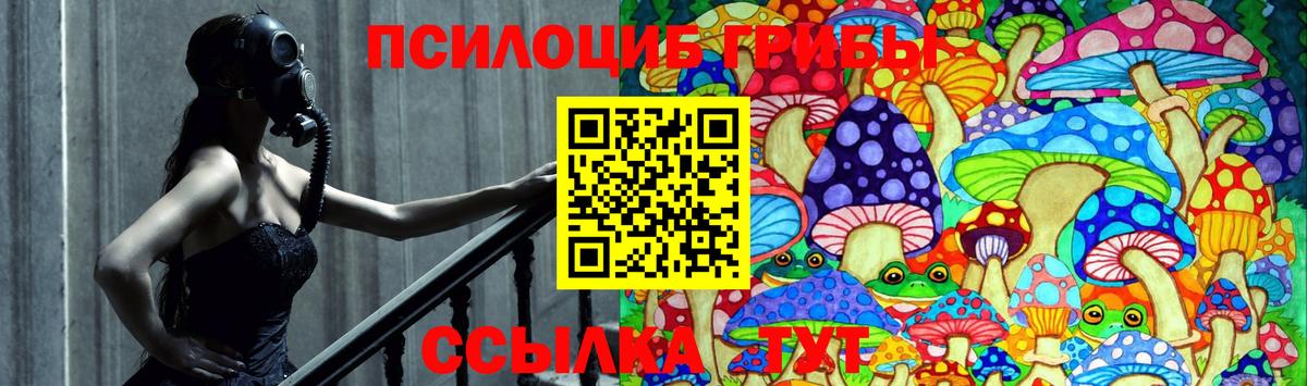 Нефтекумск  Галлюциногенные грибы Psilocybe  Вход с VPN  Галлюциногенные грибы Magic Shrooms 